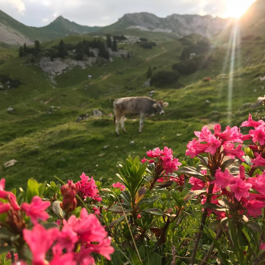 Sonnenaufgangswanderung - die besten Touren beim wandern im Sommer