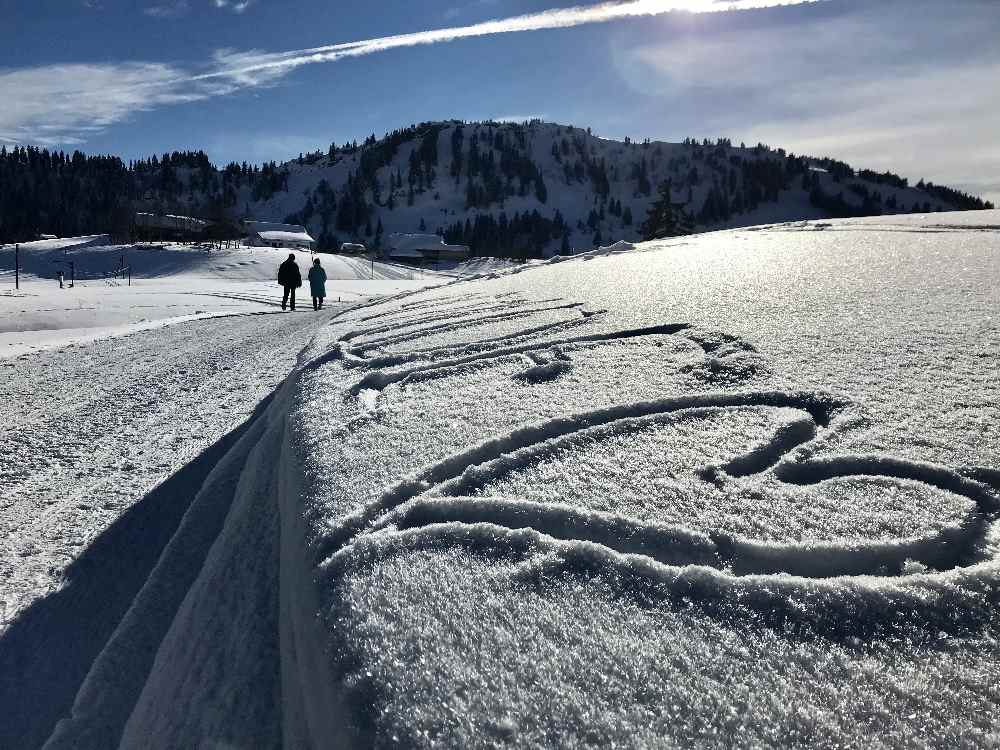 Winterwandern - stimmungsvoll können Winterwanderungen sein