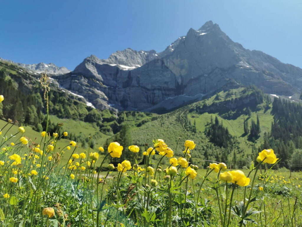 Wandern im Frühling nahe München - Am Naturdenkmal Großer Ahornboden