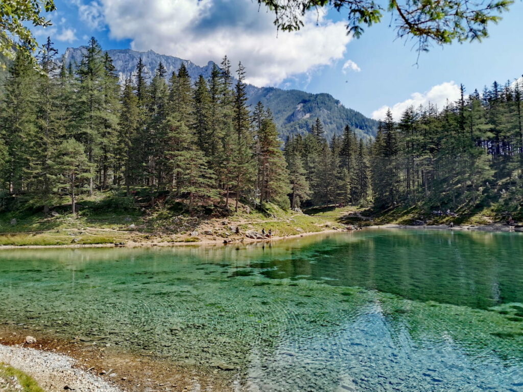 Zum schönsten Platz in Österreich wandern - Grüner See, Tragöss