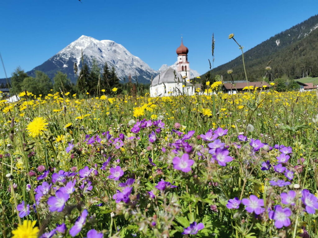 Im Wettersteingebirge im Frühling wandern - mit den bunten Blumenwiesen