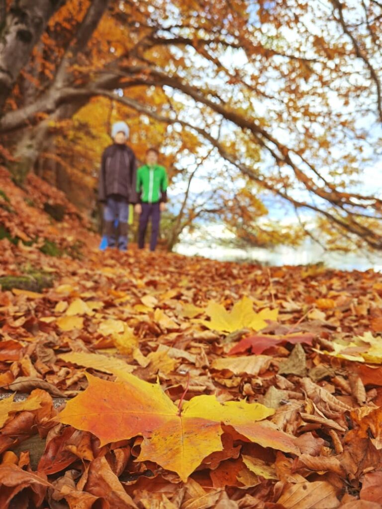 Wanderwege Herbst - am schönsten mit der bunten Blattfärbung