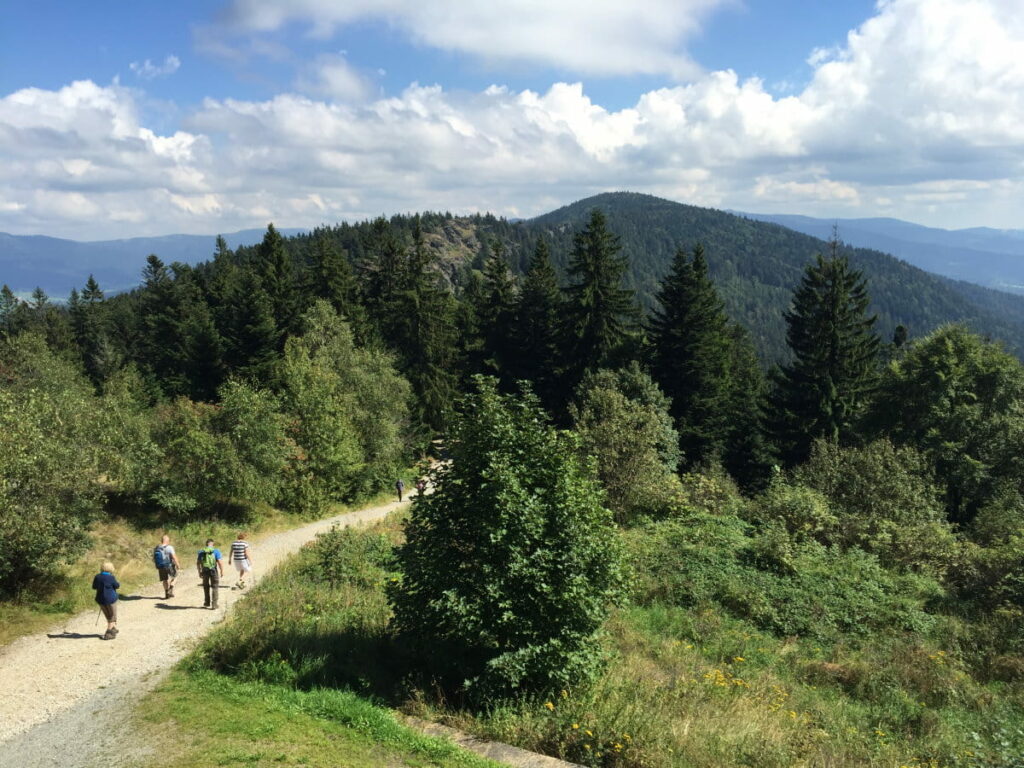 Bayerischer Wald wandern - am Kaitersberg