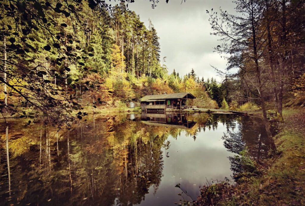 Herbstwanderung gesucht? Das sind unsere schönsten Herbstwanderungen