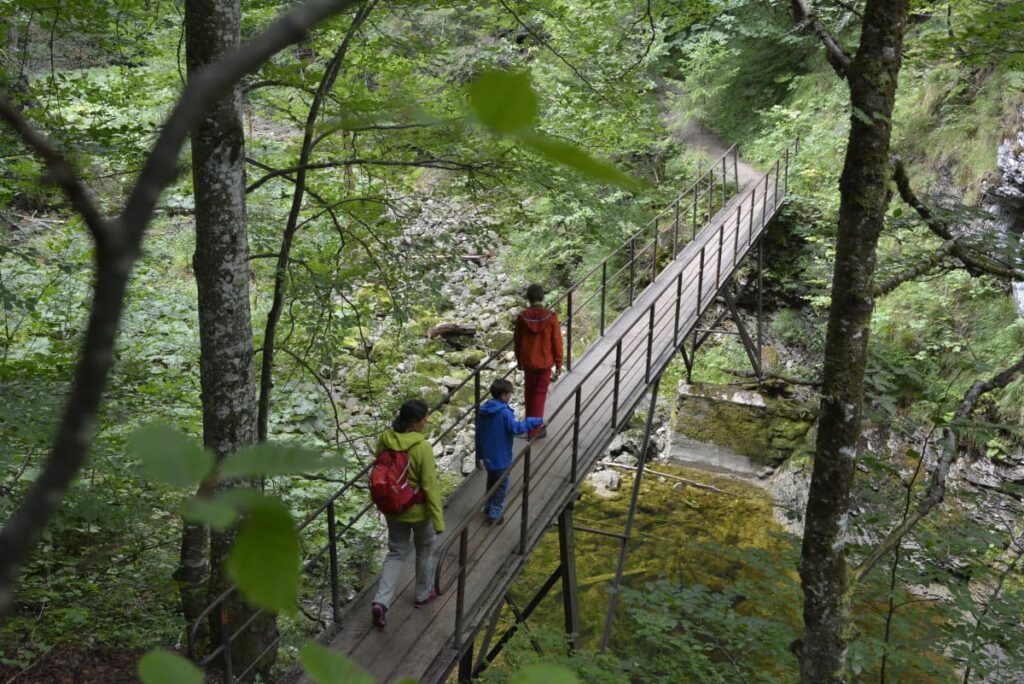 In die Ötschergräben wandern mit Kindern - wir haben es ausprobiert