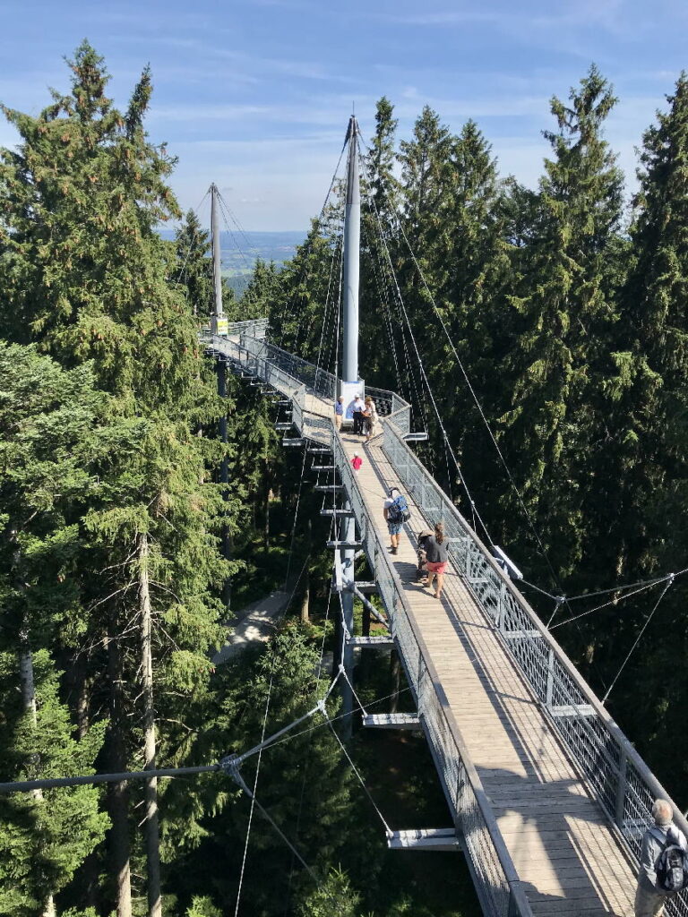 Besondere Wanderung im Sommer - Skywalk Allgäu