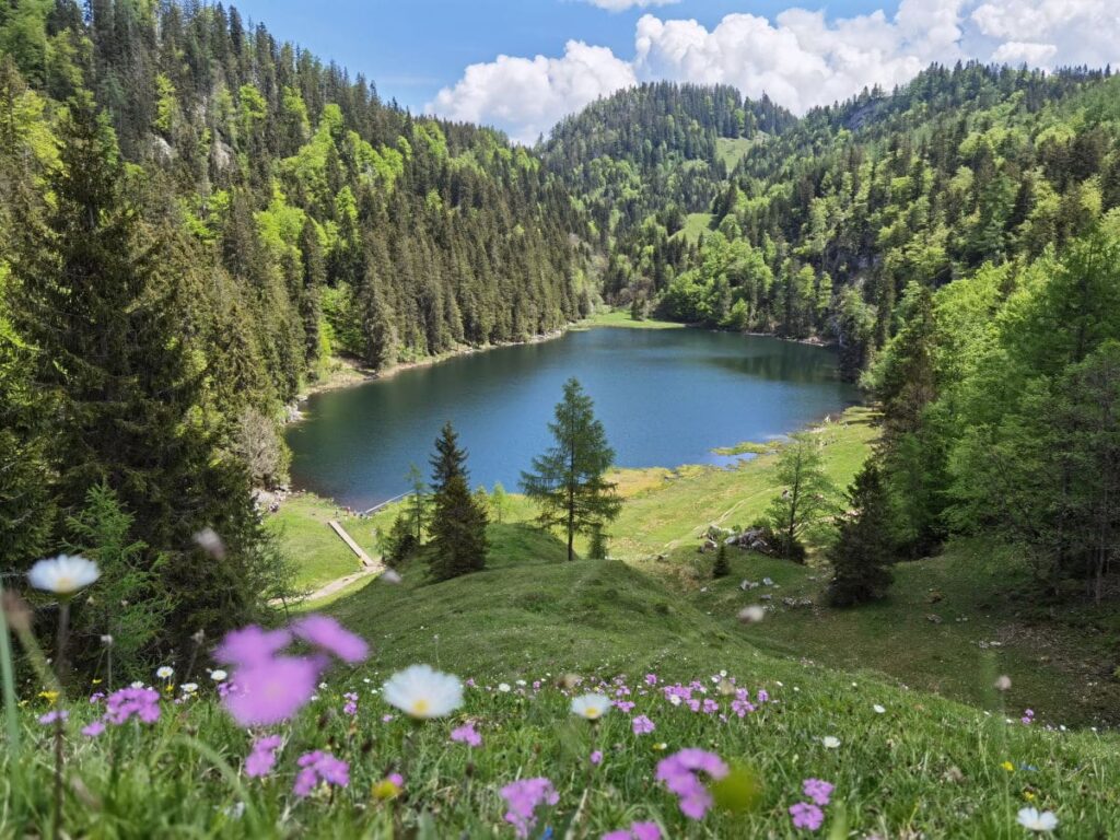 Genußvoll in Österreich wandern - und diese bezaubernden Plätze am Wasser entdecken