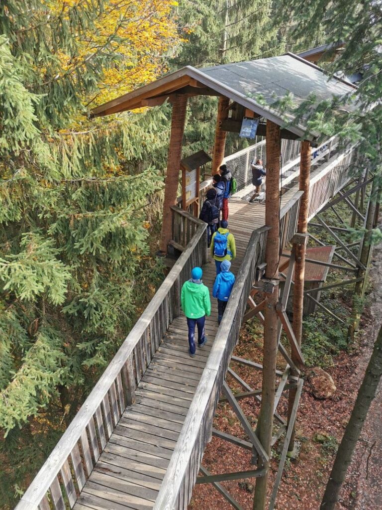 Herbstwanderung auf dem Baumkronenweg Kopfing - und danach im Baumhaushotel übernachten