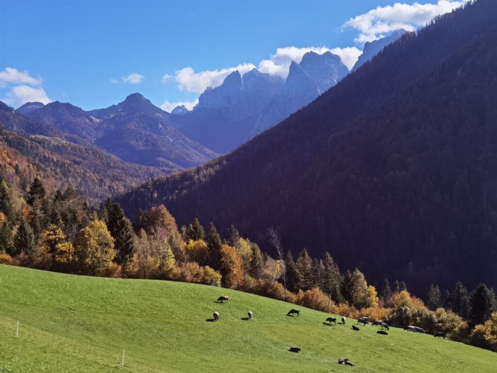 Herbstwanderung Tirol im Kaisertal - mit Blick zum Wilden Kaiser
