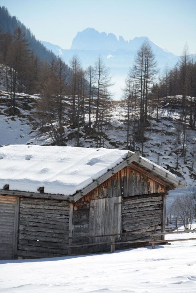 Winterwandern Fane Alm - mit Blick auf die Dolomiten