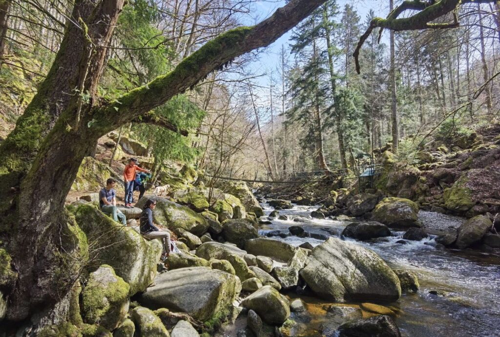 Bayerischer Wald wandern mit Kindern - an den Wasserfällen und Klammen ist es spannend