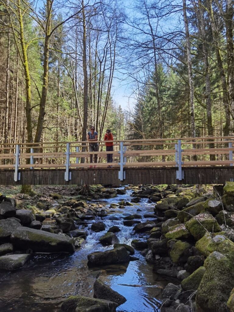 Wandern Bayerischer Wald - entdecke die Buchberger Leite und die Saussbachklamm