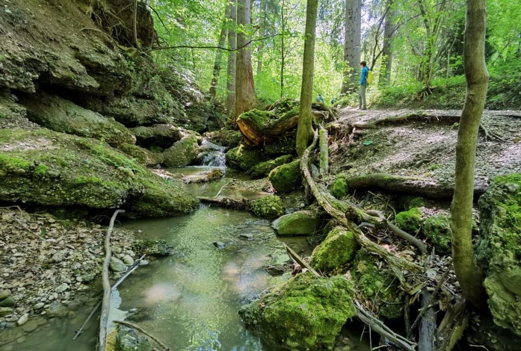 Wandern in Bayern - die Maisinger Schlucht am Starnberger See