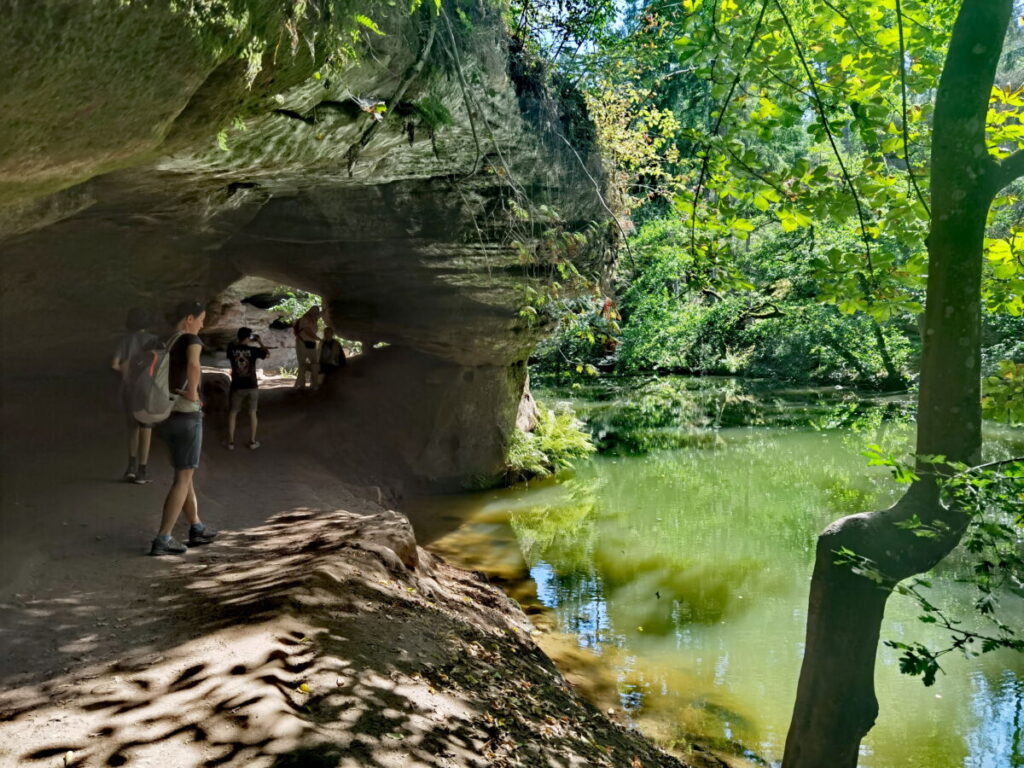 Atemberaubend in der Oberpfalz wandern - die Schwarzachklamm nahe Neumarkt